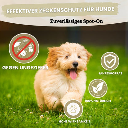 Spot On für kleine Hunde (bis 15kg) - [6 Monate Floh- und Zeckenschutz] für Hunde 6x2ml – Zeckenmittel für Hunde mit natürlichen Inhaltsstoffen– Effektiver Zeckenschutz Hund