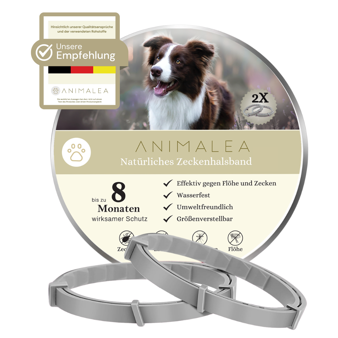 2er-Pack Zeckenhalsband für Hunde - 100% Ätherisches Öl - Wasserdicht & Verstellbar für Welpen & Hunde ab 7 Wochen - bis zu 8 Monate Schutz gegen Zecken Flöhe Mücken Läuse Sandmücken