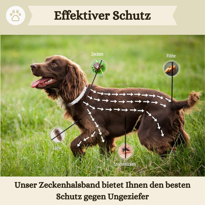 2er-Pack Zeckenhalsband für Hunde - 100% Ätherisches Öl - Wasserdicht & Verstellbar für Welpen & Hunde ab 7 Wochen - bis zu 8 Monate Schutz gegen Zecken Flöhe Mücken Läuse Sandmücken