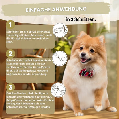 Spot On für kleine Hunde (bis 15kg) - [6 Monate Floh- und Zeckenschutz] für Hunde 6x2ml – Zeckenmittel für Hunde mit natürlichen Inhaltsstoffen– Effektiver Zeckenschutz Hund