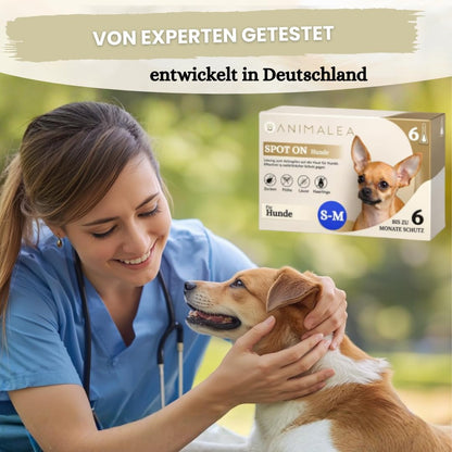 Spot On für kleine Hunde (bis 15kg) - [6 Monate Floh- und Zeckenschutz] für Hunde 6x2ml – Zeckenmittel für Hunde mit natürlichen Inhaltsstoffen– Effektiver Zeckenschutz Hund
