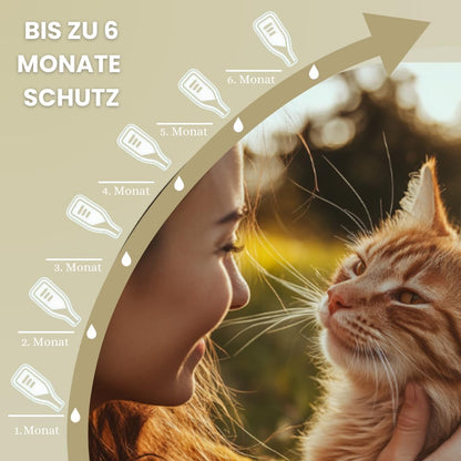 Spot On Natürlicher Zeckenschutz für Katzen