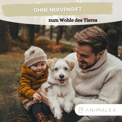 Spot On für kleine Hunde (bis 15kg) - [6 Monate Floh- und Zeckenschutz] für Hunde 6x2ml – Zeckenmittel für Hunde mit natürlichen Inhaltsstoffen– Effektiver Zeckenschutz Hund