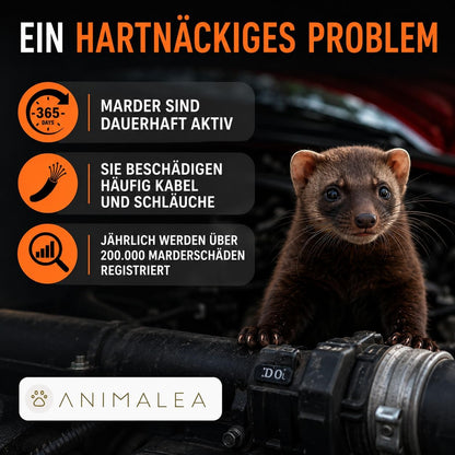 Marderschreck Auto – 6 Stück Marderkugeln inkl. 3 Schutzkorb Halterungen